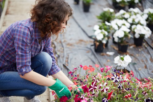 Person reviewing accessible landscaping content on a device