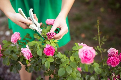 Safe and professional landscaping work in Charlton