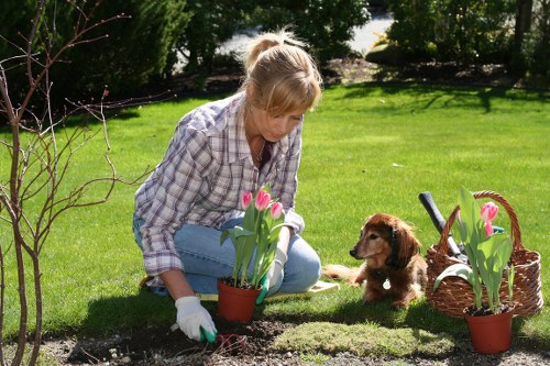 Close-up of safe landscaping tools and protective equipment on site